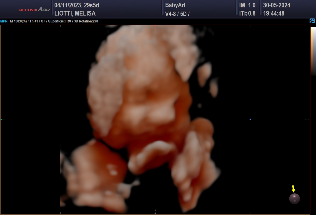 JULIA DE MELISA LIOTTI_0022.JPG